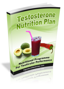 e-book testosterone nutrition plan